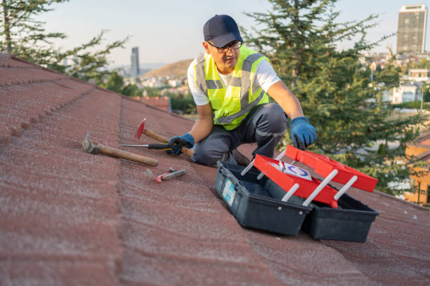 Best Storm Damage Siding Repair  in Peshtigo, WI